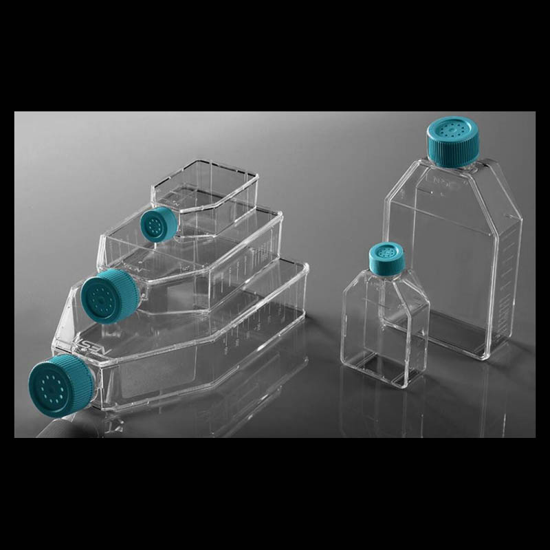 Plastic cell culture flasks molding