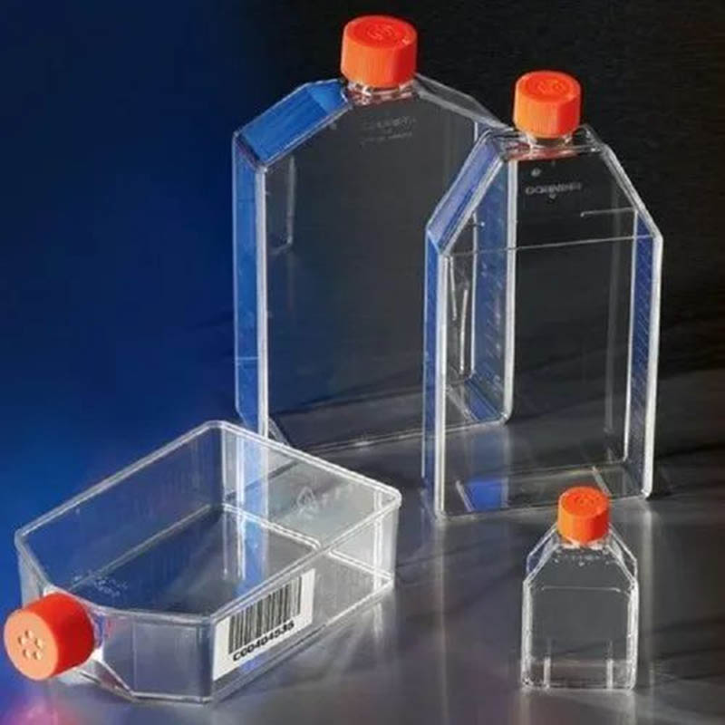 Plastic cell culture flasks molding