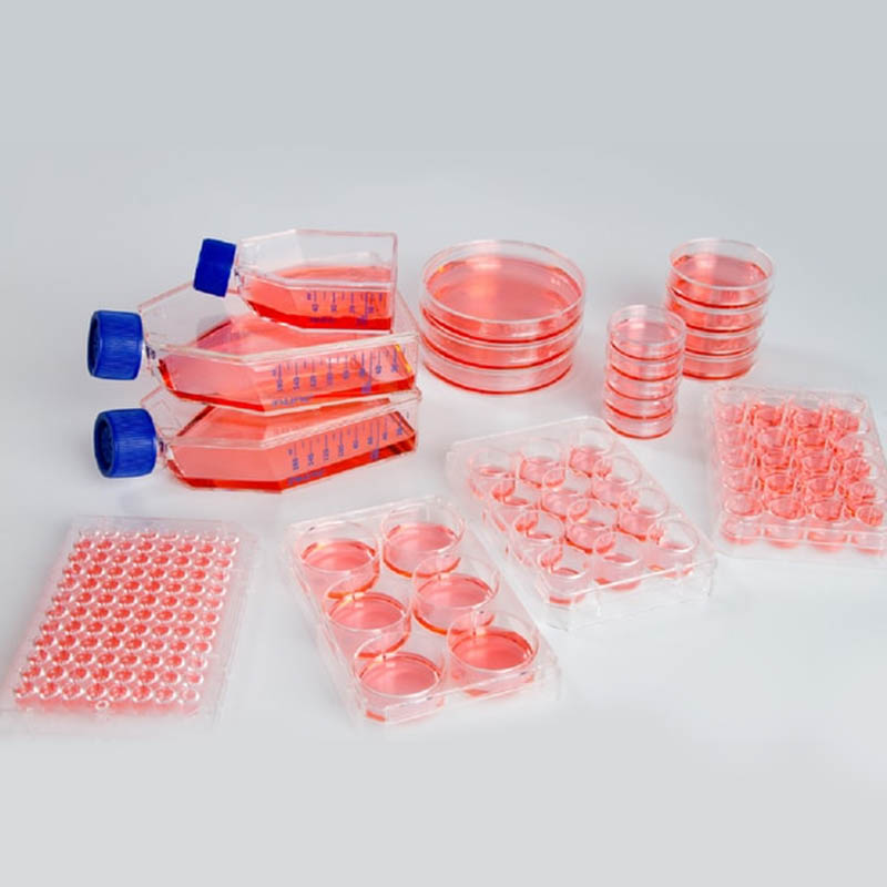 Plastic cell culture flasks molding